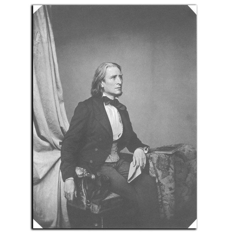 تابلو شاسی بکلیت طرح مشاهیر موسیقی فرانتس لیست مدل SH-6029