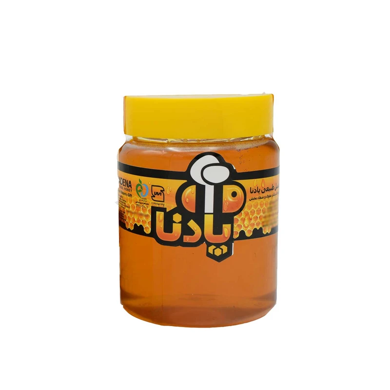 عسل آویشن پادنا - 600 گرمی