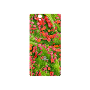 MAHOOT Atom Universe 3 Cover Sticker for Sony Xperia Z