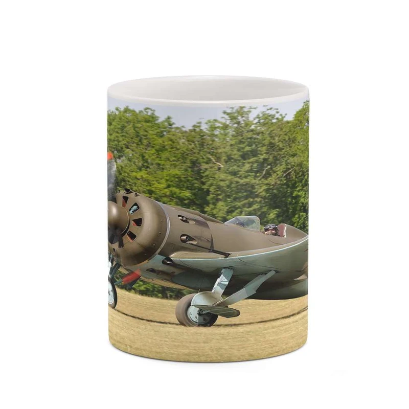 ماگ کاکتی مدل هواپیمای جنگنده کد mgh20364