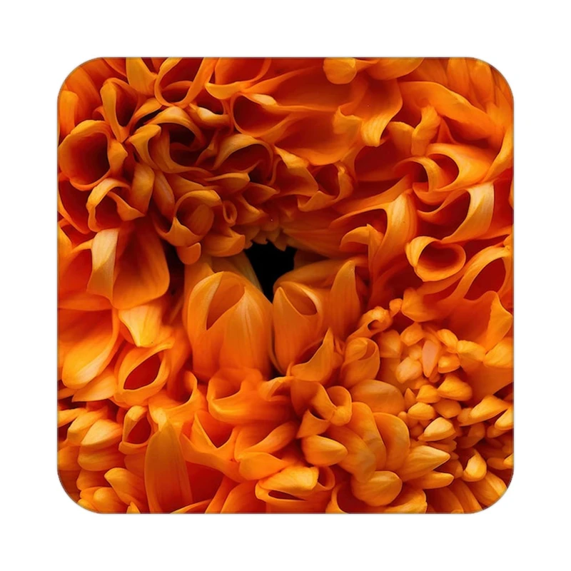 زیر لیوانی کاکتی طرح گل مدل mp18210