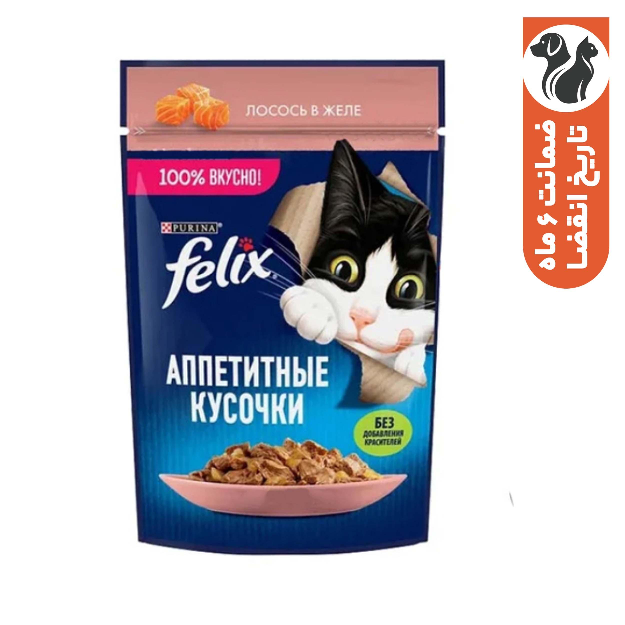پوچ گربه بالغ فلیکس مدل Salmon In Jelly طعم ماهی سالمون وزن ۷۵ گرم