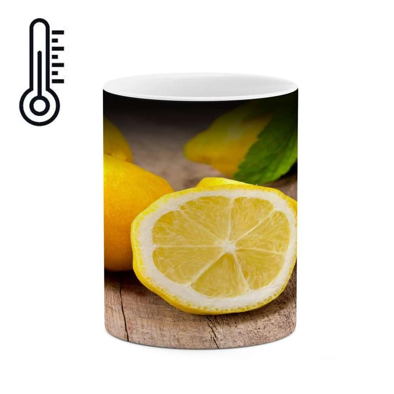 ماگ حرارتی کاکتی مدل لیمو کد mgh14782