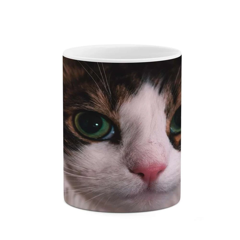 ماگ کاکتی مدل گربه کد mgh16747