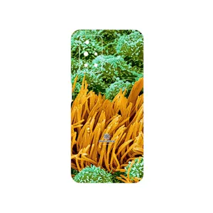 MAHOOT Atom Universe 6 Cover Sticker for Xiaomi Redmi 10 Prime