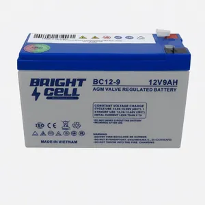 باتری UPS با ولتاژ ۱۲ ولت و شدت جریان ۹ آمپرساعت مدل 12-9Ah