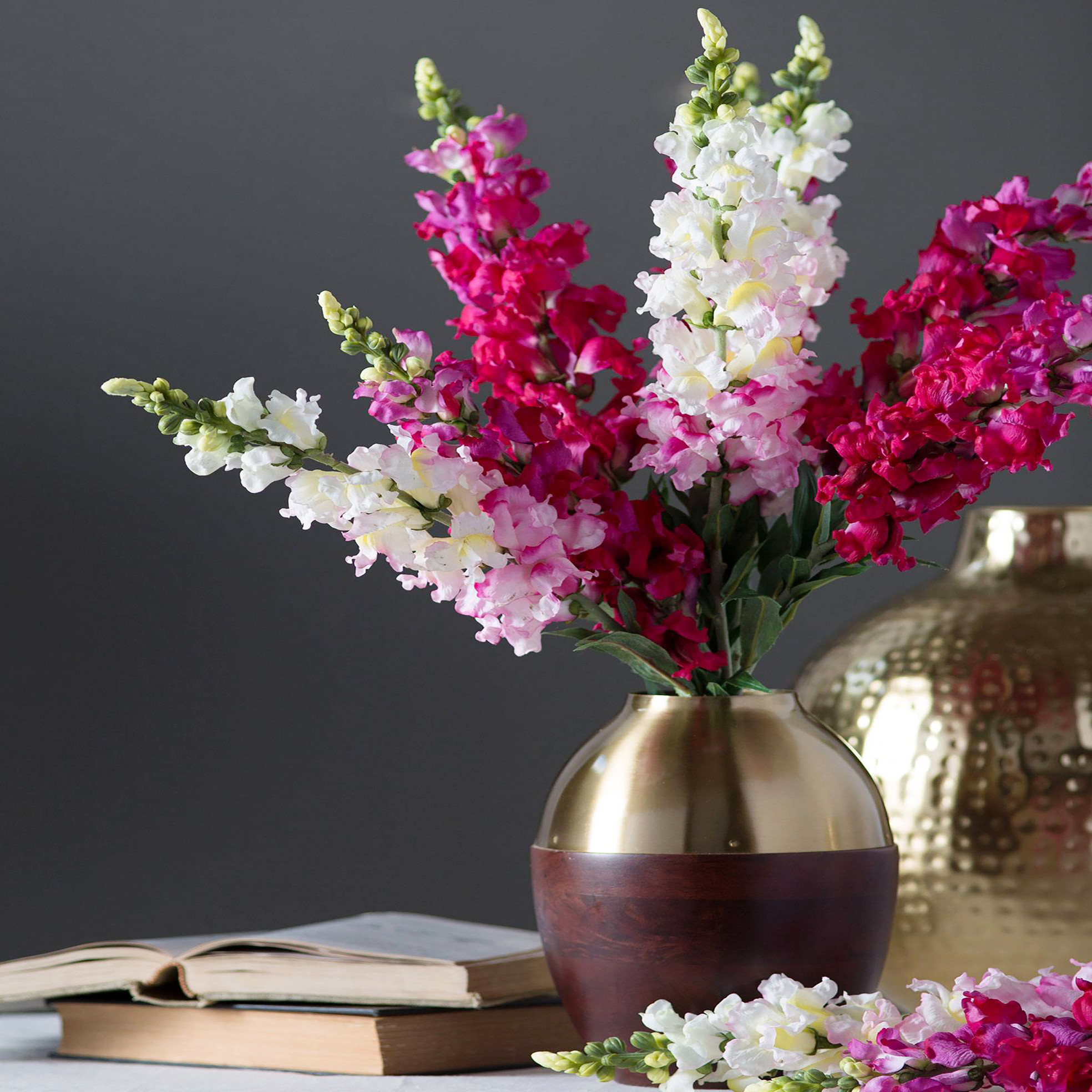 بذر گل میمون الوان سانیا سید مدل S3