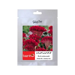بذر گل تاج خروس تاجی قرمز بذرینو کد BZNO-028