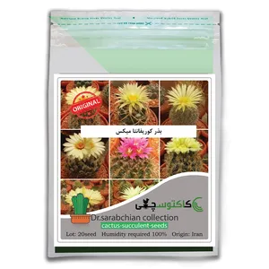 بذر کوریفانتا میکس کاکتوسچی مدل AM-069