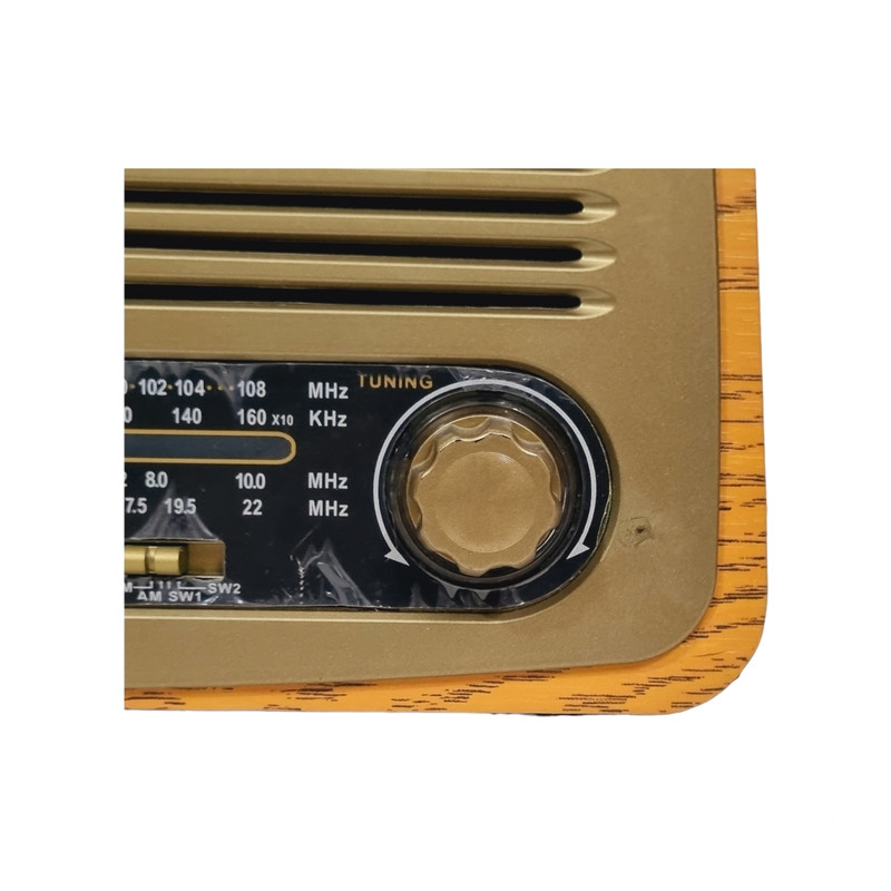 رادیو طرح چوبی مدل کلاسیک RAISENG رادیو طرح چوبی مدل کلاسیک RAISENG