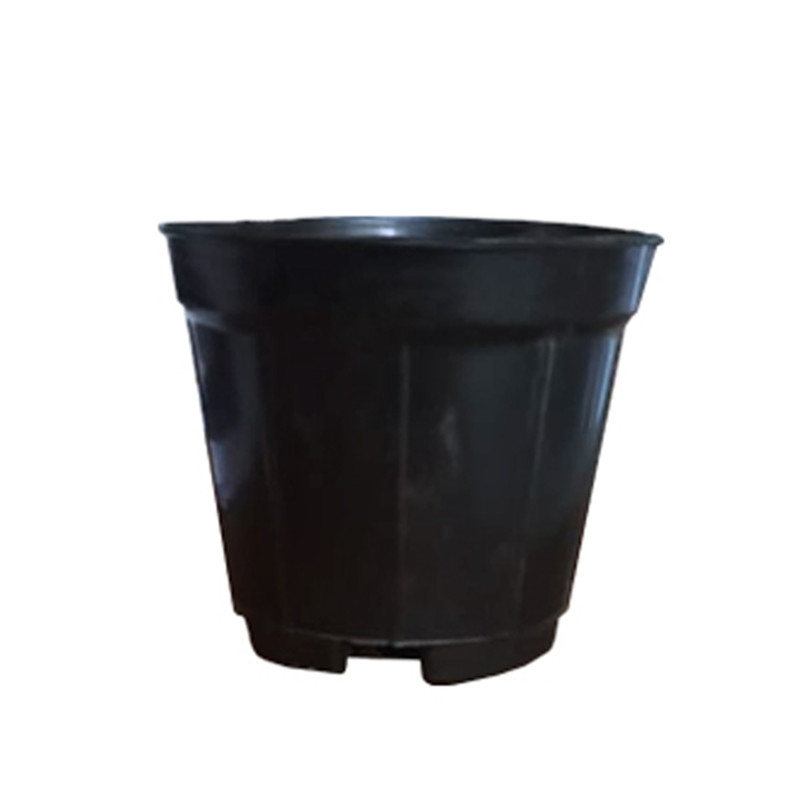 گلدان مدل GPPA12 بسته 500 عددی