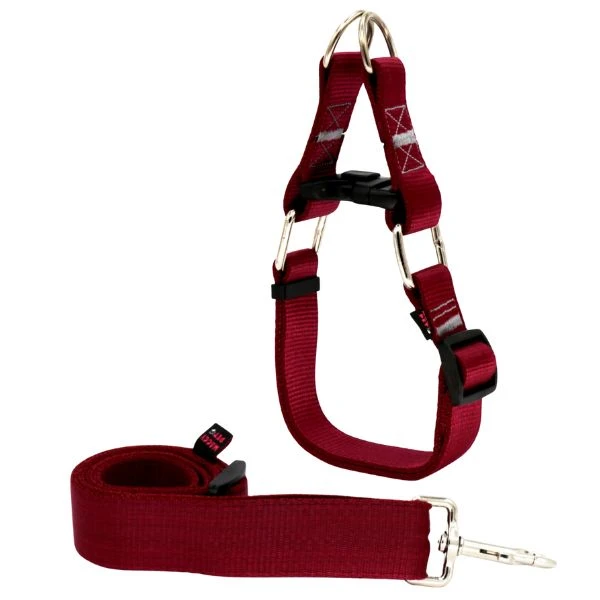 ست بند و قلاده گردنی سگ مدل چارلی Xlarge-Charli02