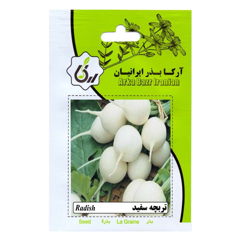 بذرتربچه سفید آرکا بذر ایرانیان مدل A38