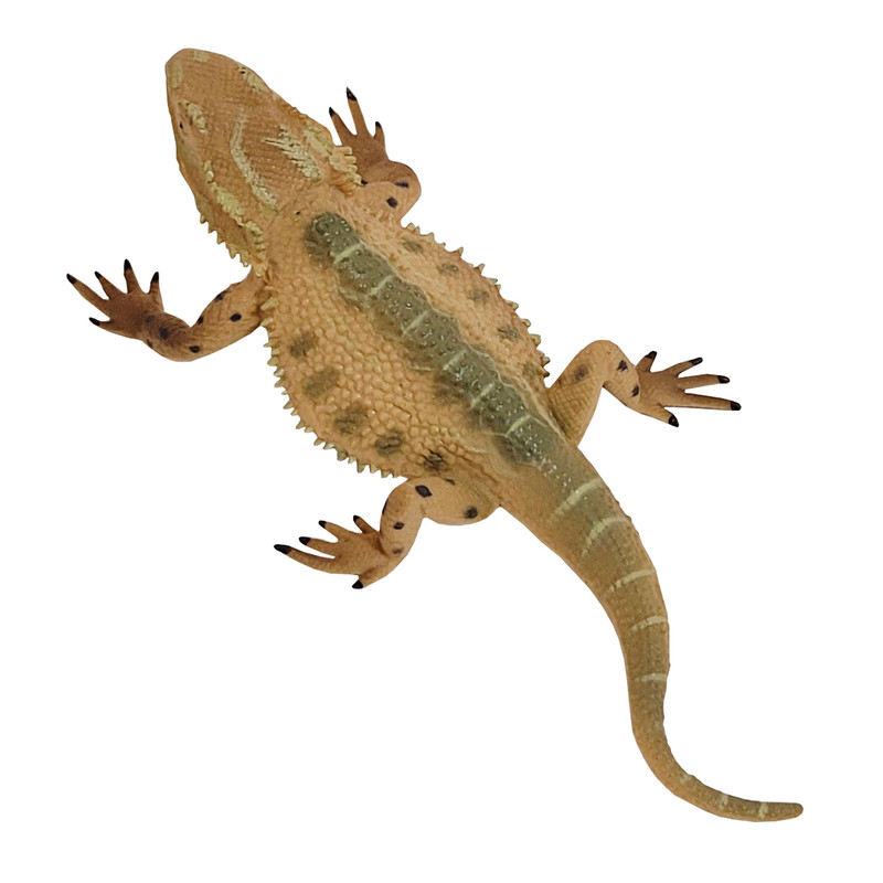 فیگور مدل مارمولک کد 09800