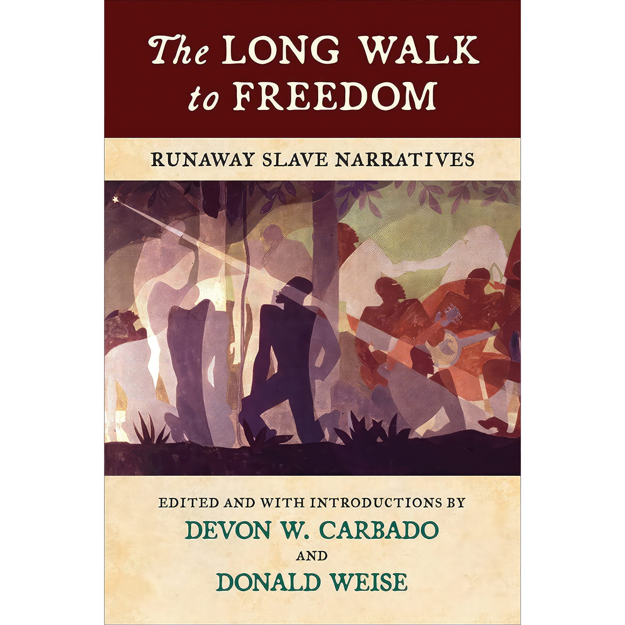 کتاب The Long Walk to Freedom اثر Devon W. Carbado and Donald Weise انتشارات Beacon Press
