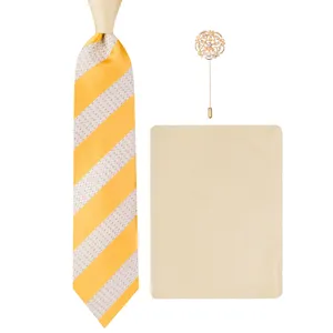 ست کراوات و دستمال جیب و گل کت مردانه مدل GF-ST1446-Y