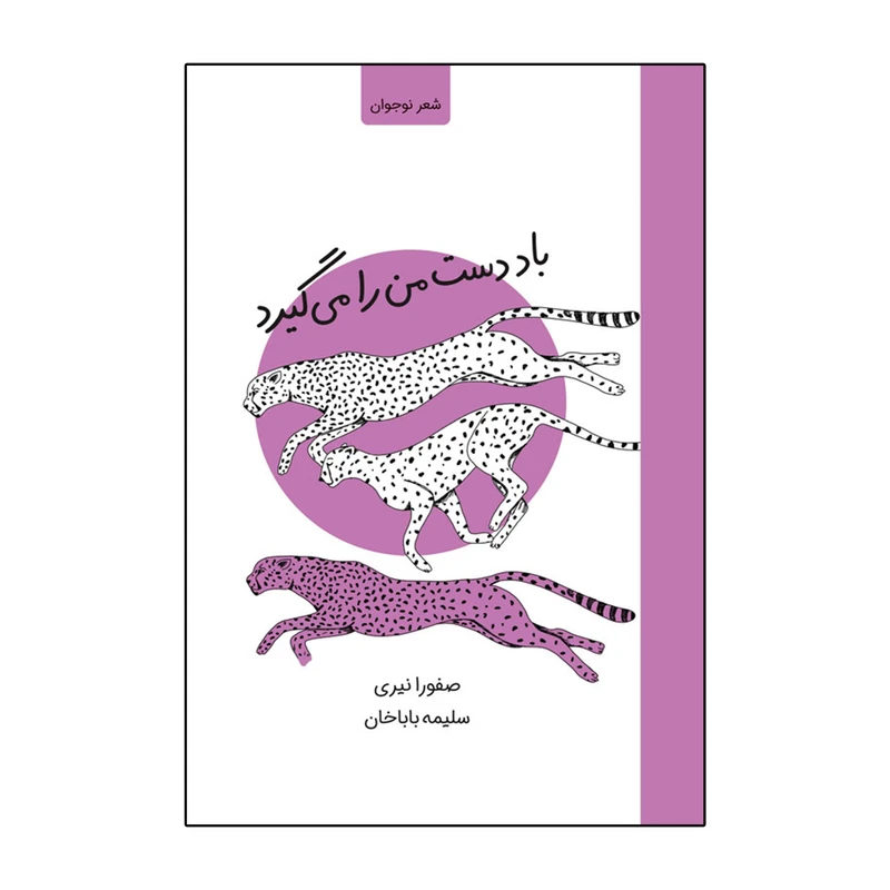 کتاب باد دست من را می گیرد اثر صفورا نیری انتشارات موسسه پژوهشی تاریخ ادبیات کودکان