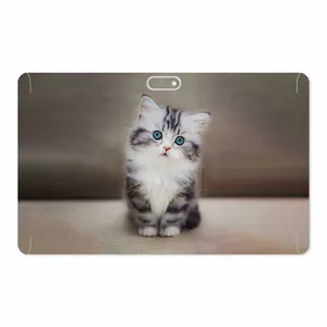 MAHOOT Cat-2 Cover Sticker for GLX W11 Plus