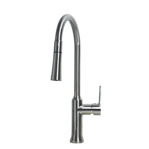 Shell 500 kitchen faucet