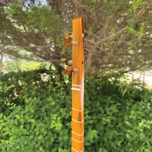 سه تار ایران ساز مدل Sa-de