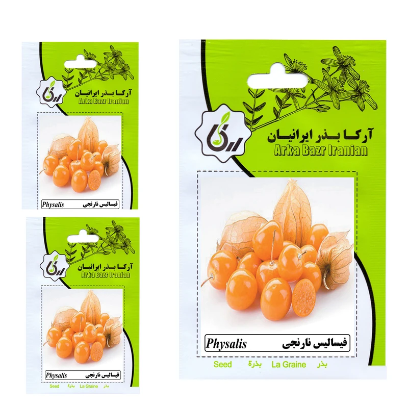 بذر فیسالیس نارنجی آرکا بذر ایرانیان کد 015 مجموعه 3 عددی 