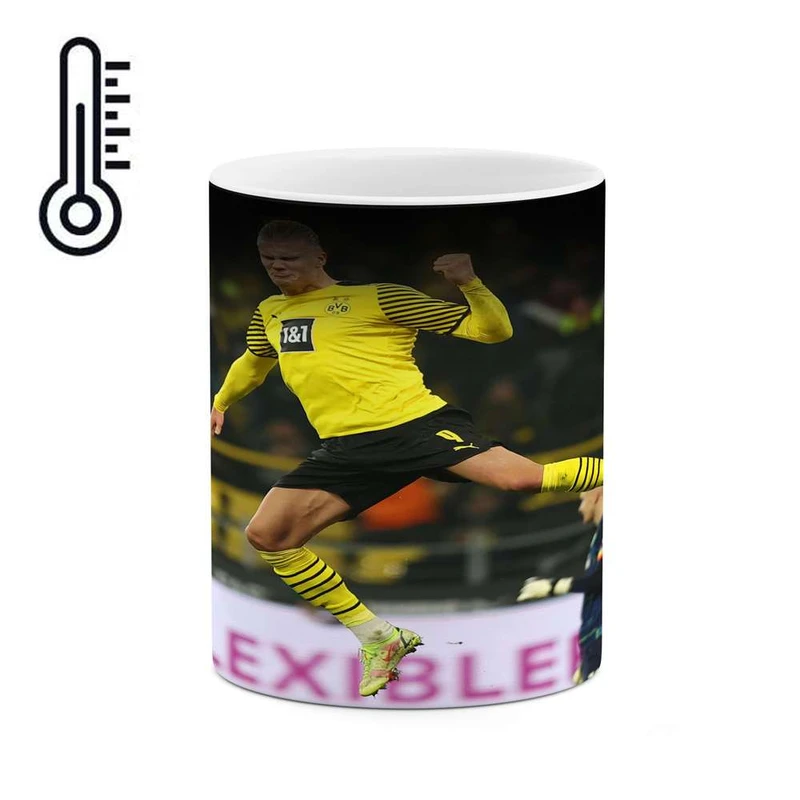 ماگ حرارتی کاکتی مدل فوتبالیست کد mgh15656