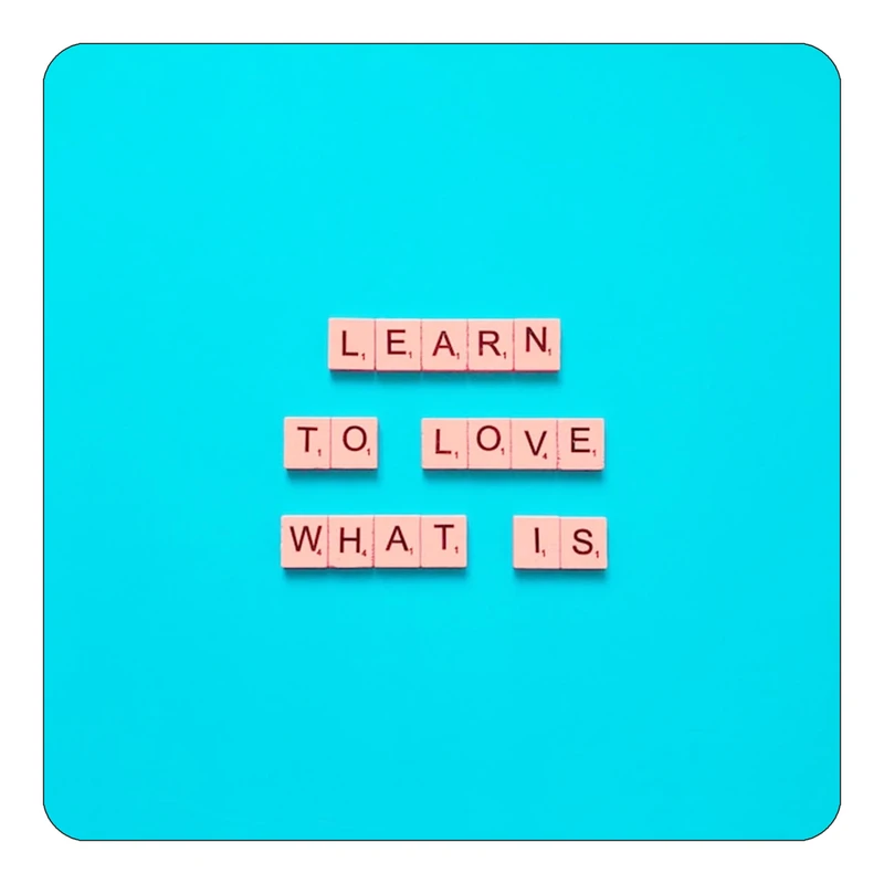 مگنت کاکتی طرح جملات انگیزشی و مثبت مدل mp24749