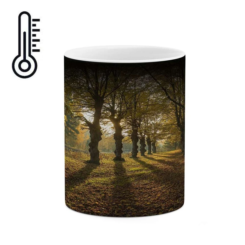 ماگ حرارتی کاکتی مدل منظره کد mgh16253