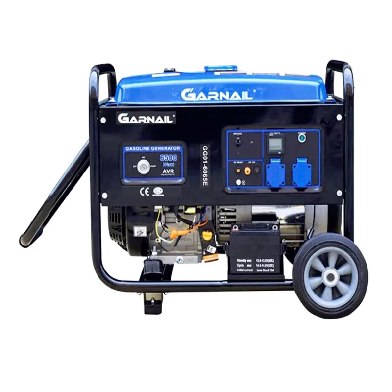 موتور برق گارنیل مدل GG01-6065E