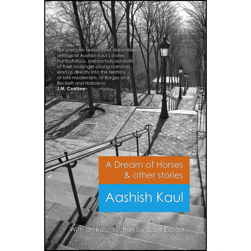 کتاب A Dream of Horses & Other Stories اثر Aashish Kaul انتشارات Roundfire Books