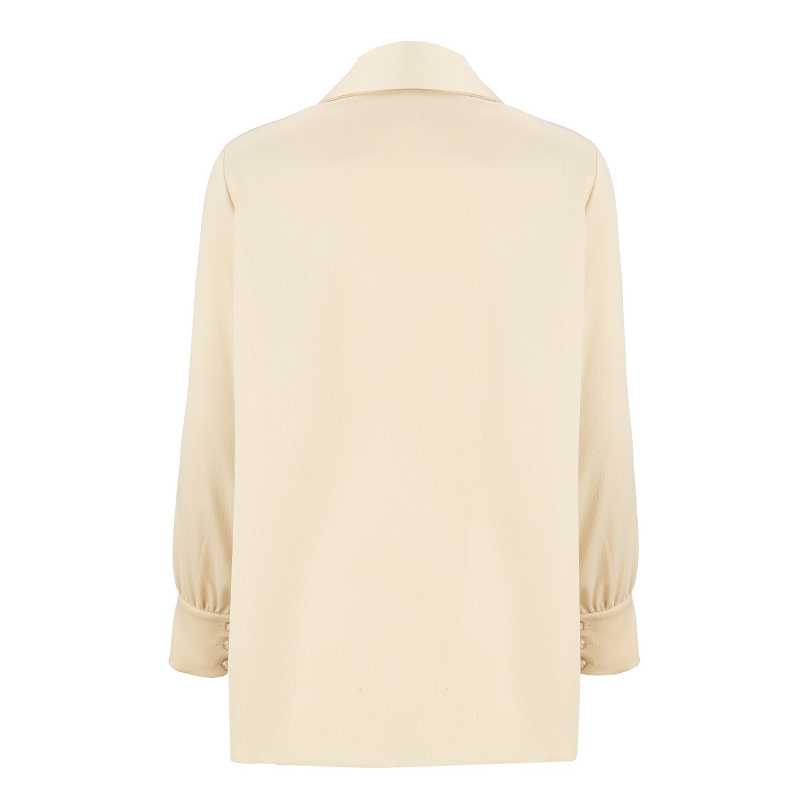 شومیز آستین بلند زنانه السانا مدل ریماس کد 172501 - - 40