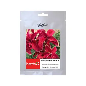 بذر گل حسن یوسف Velvet Red بذرینو کد BZNO-105