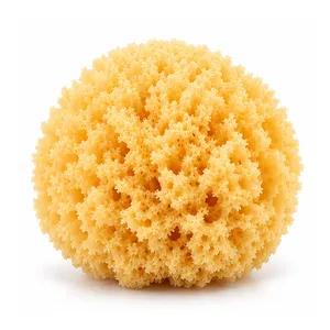 اسفنج شستشوی بدن سواوی‌پیل مدل Natural Sea Sponge