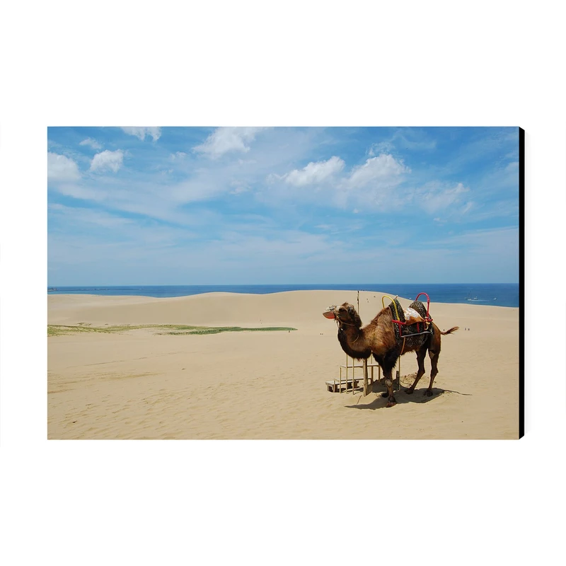 تابلو شاسی عرش طرح گردشگری ژاپن مدل تپه های شنی توتوری کد As6219