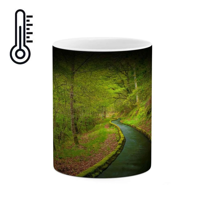 ماگ حرارتی کاکتی مدل منظره کد mgh13160