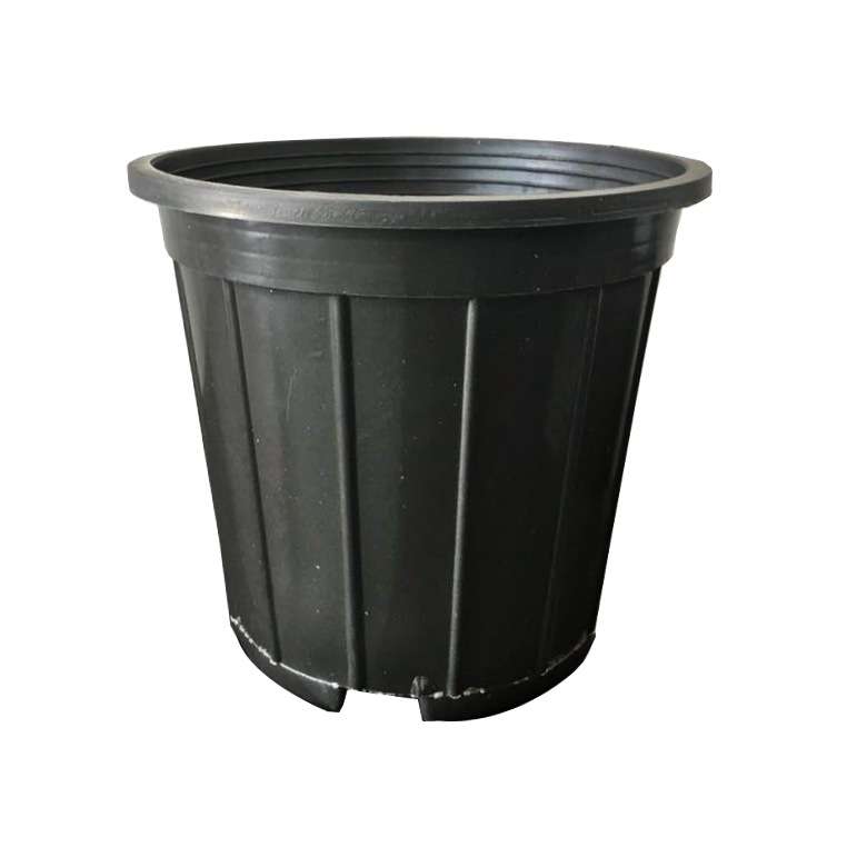 گلدان مدل نشا n15 بسته 12 عددی گلدان مدل نشا n15 بسته 12 عددی