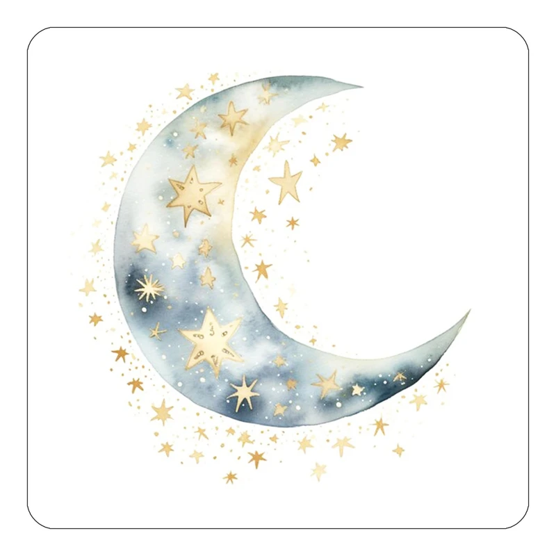 مگنت کاکتی طرح ماه و ستاره مدل mp54425