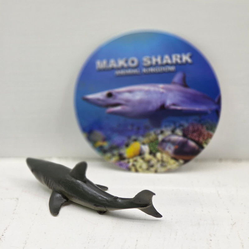 فیگور ناب سل مدل کوسه مکو کد MAKO SHARK NAAB045 ارتفاع 3 سانتی متر
