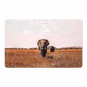 MAHOOT Elephant Cover Sticker for GLX W11 Plus