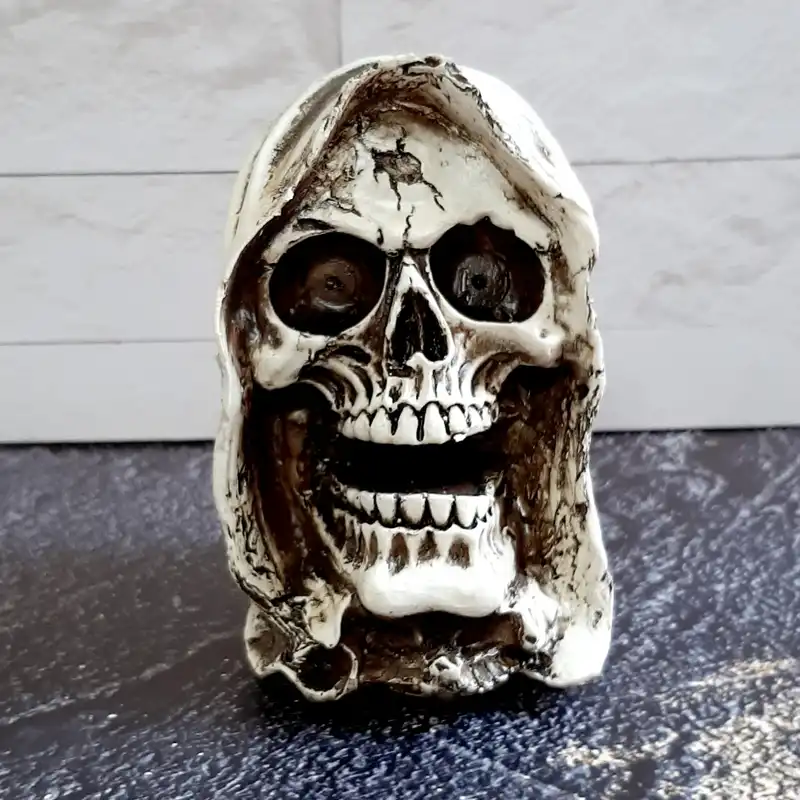 مجسمه مدل جمجمه جادوگر P-25