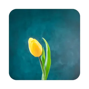 زیر لیوانی کاکتی طرح گل مدل mp17749