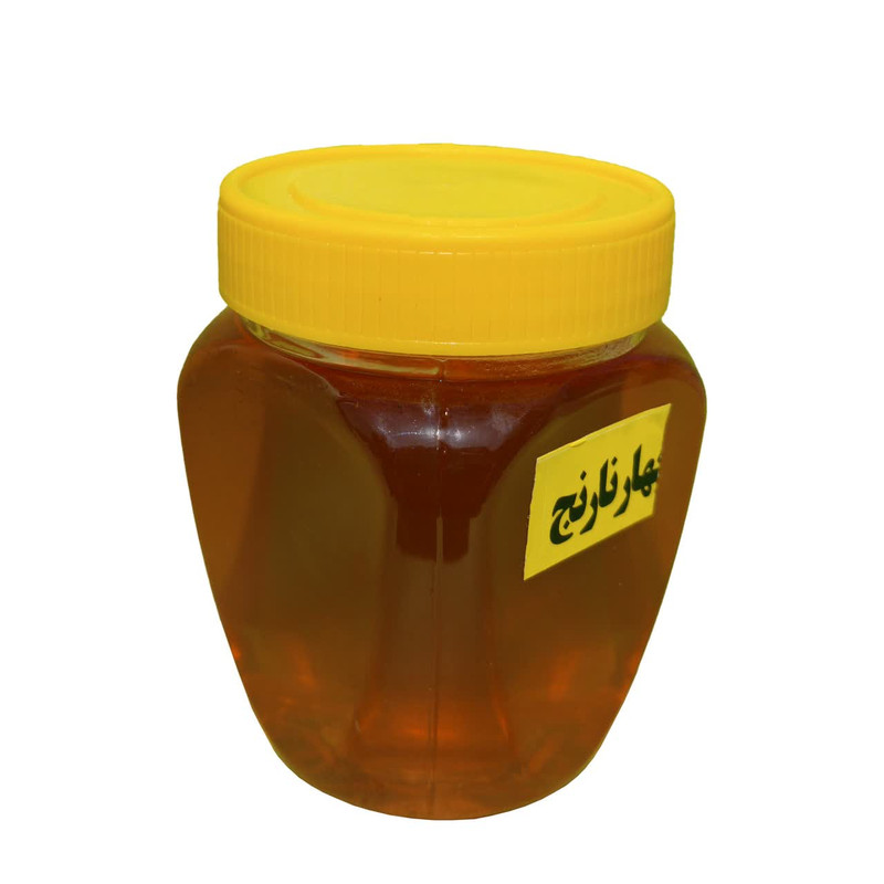 عسل بهار نارنج فدک - 450 گرم