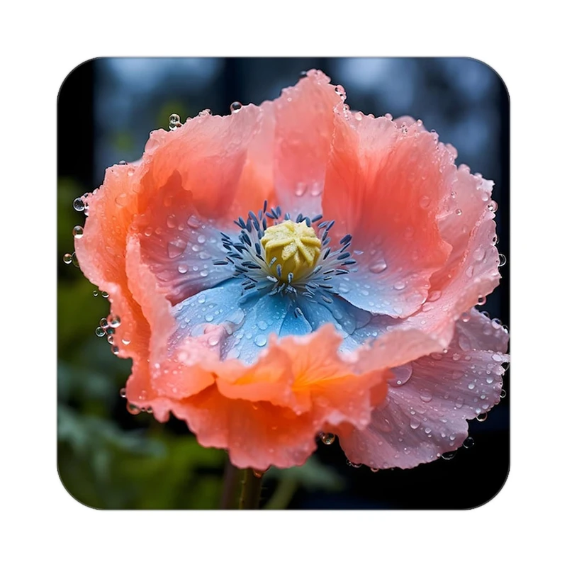 زیر لیوانی کاکتی طرح گل مدل mp16269