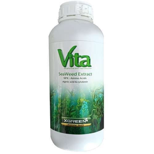 کود جلبک دریایی ایکس گرین مدل ویتا حجم 1 لیتر