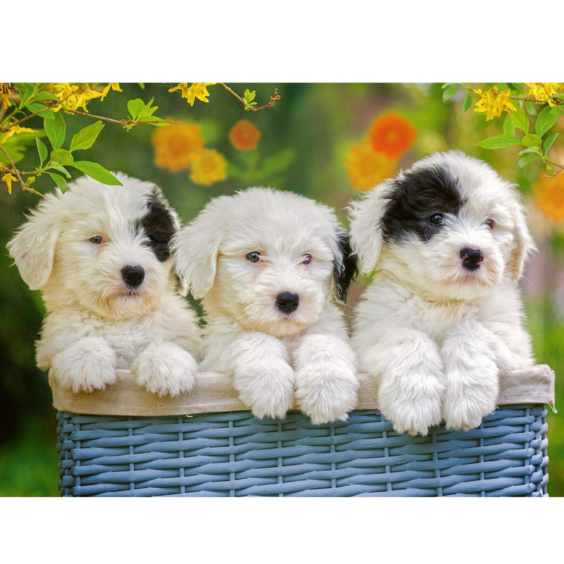 پازل 200 تکه راونزبرگر مدل Cuddly Puppies کد 12765