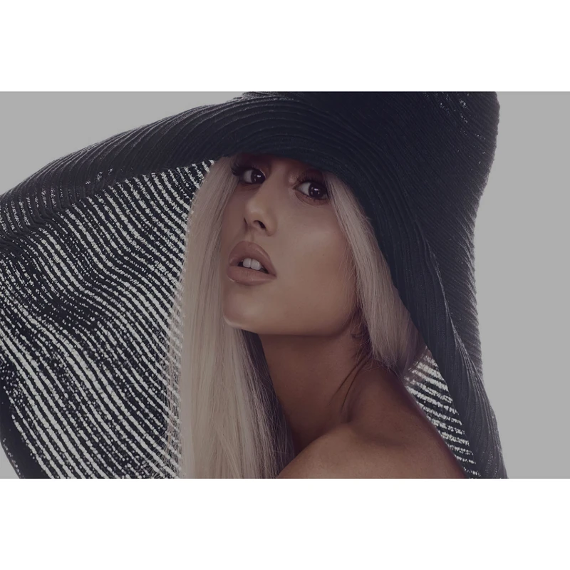 تابلو شاسی مدل خواننده آریانا گرانده T6033