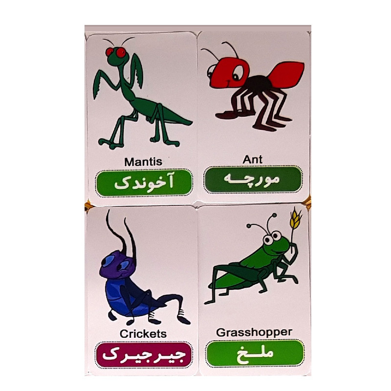 بازی آموزشی مدل حشرات و نرمتنان کد BA8 مجموعه 18 عددی