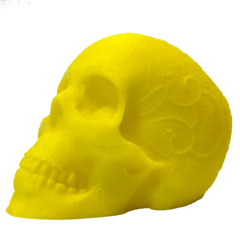 جاکلیدی مدل اسکلت جمجمه کد 1.3.1