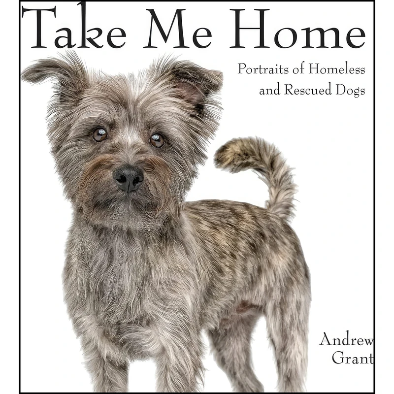 کتاب Take Me Home اثر Editors of Firefly Books انتشارات Firefly Books