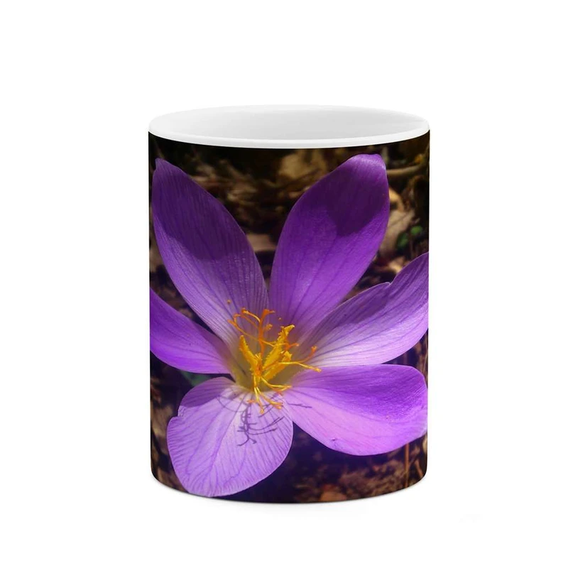 ماگ کاکتی مدل گل کد mgh12180